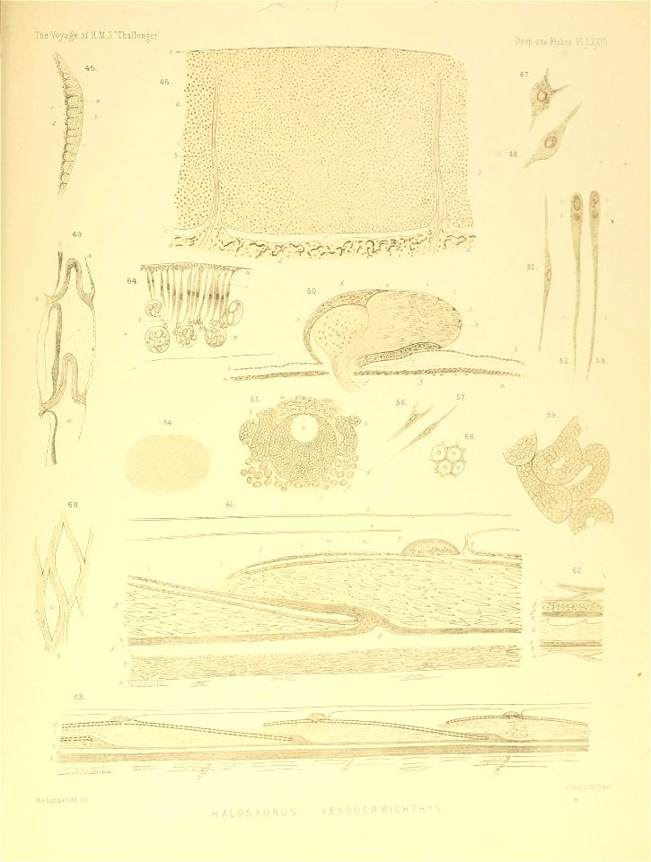 n768_w1150