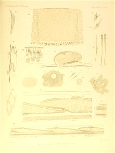 n768_w1150