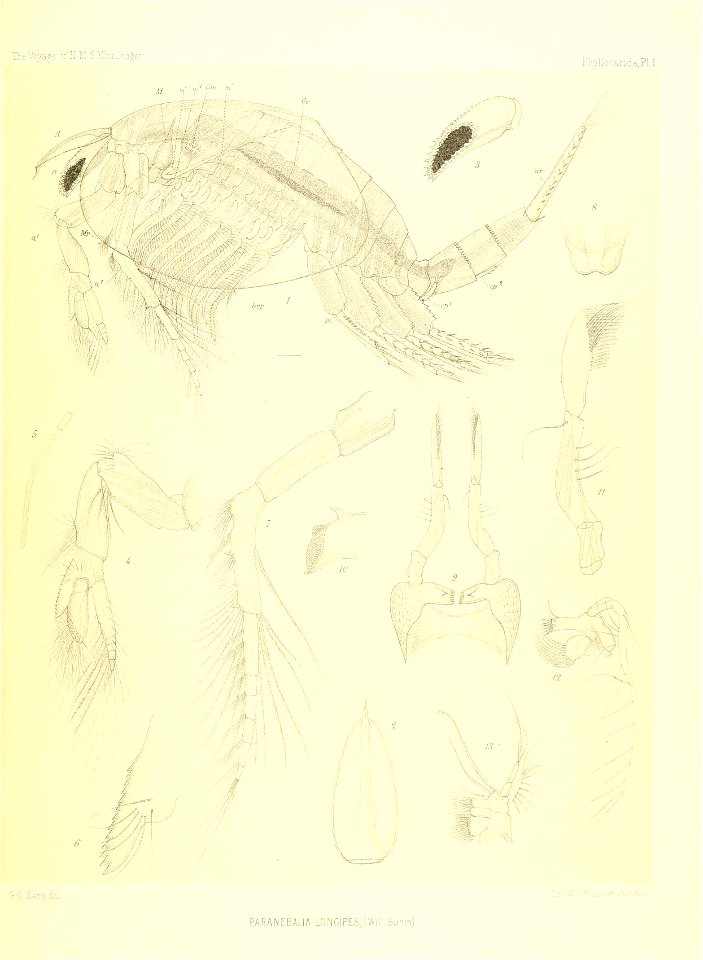 n394_w1150