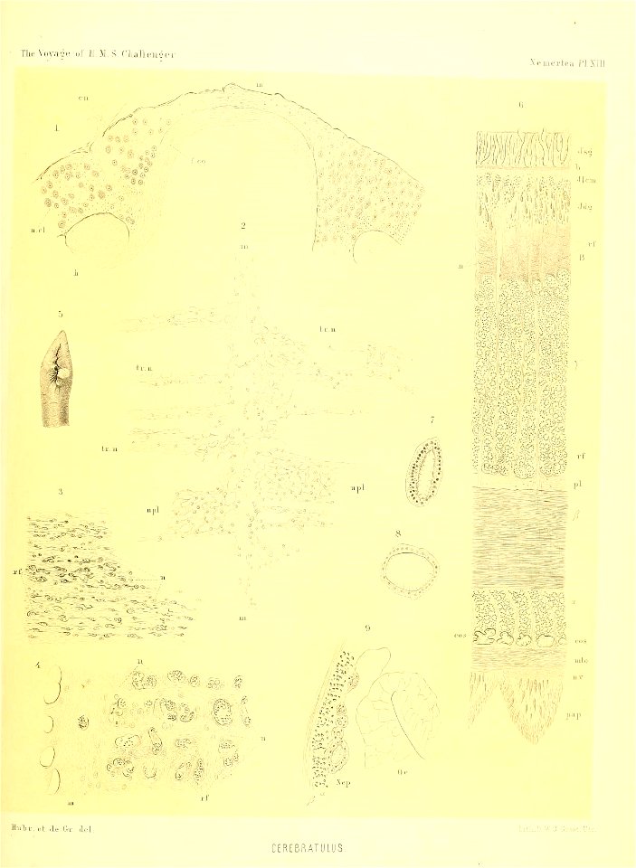 n216_w1150