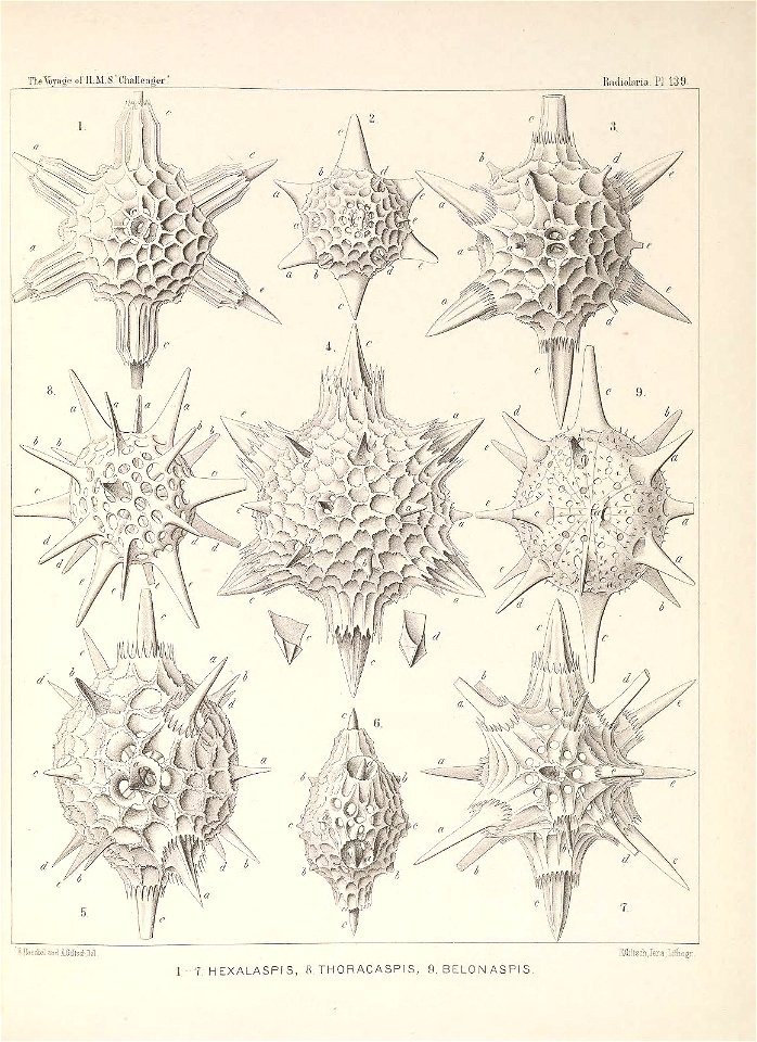 n568_w1150