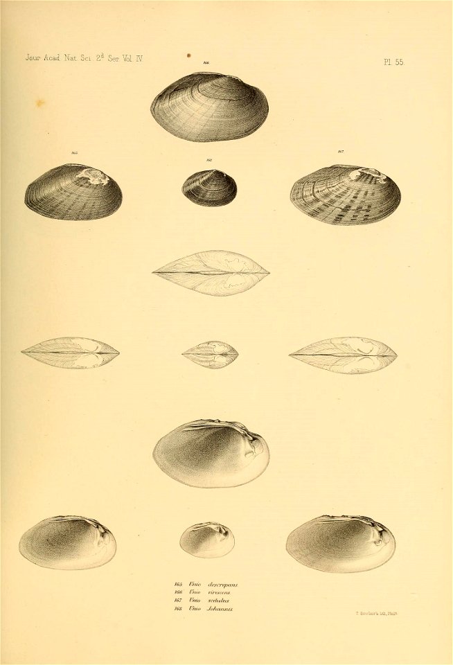 n532_w1150