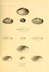 n532_w1150