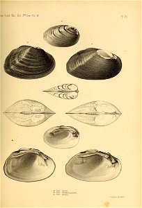 n472_w1150