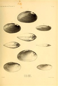 n442_w1150