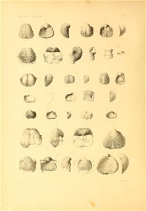n389_w1150
