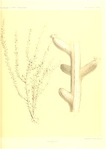 n578_w1150