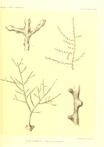 n518_w1150