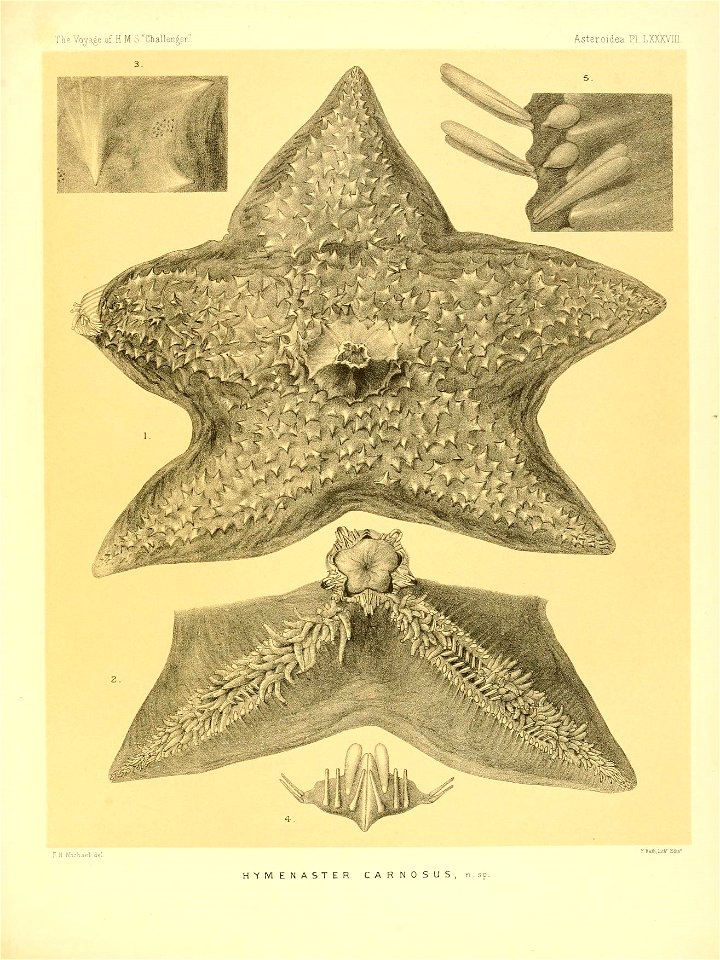 n368_w1150