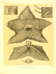 n368_w1150