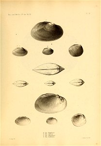 n448_w1150