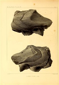 n417_w1150