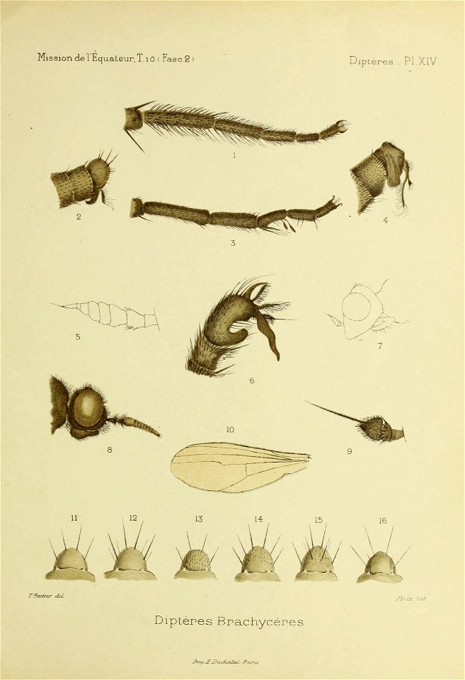n172_w1150