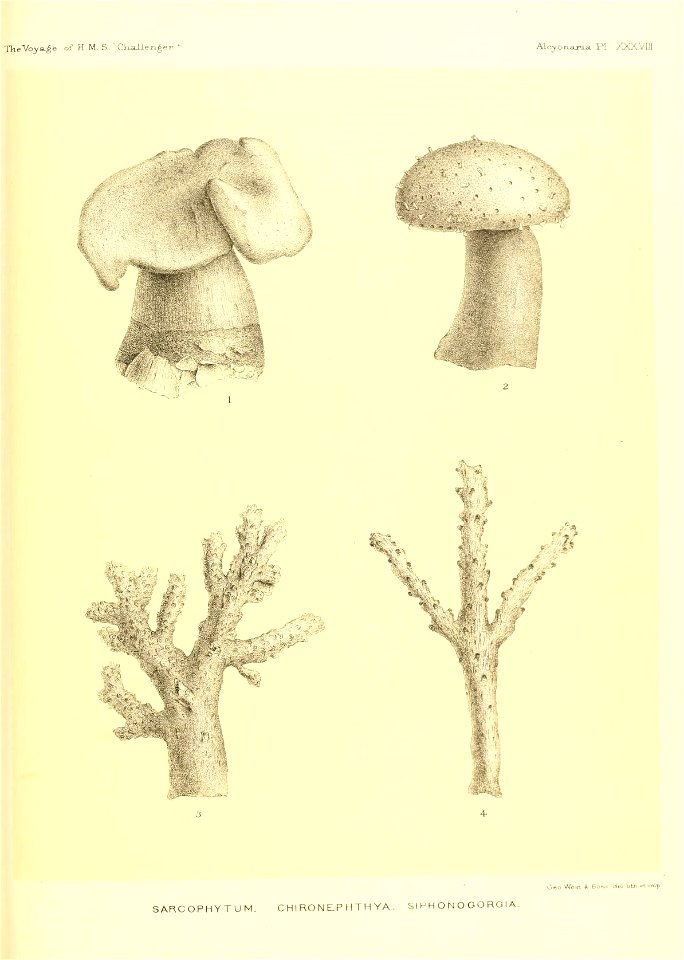 n574_w1150