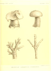 n574_w1150