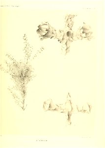 n454_w1150