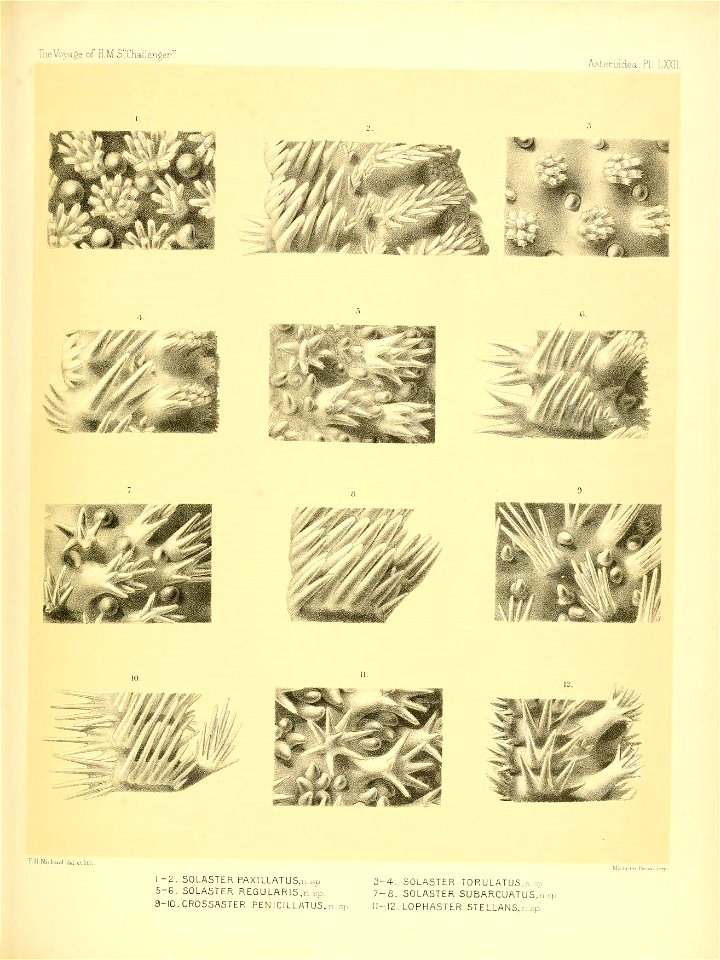 n302_w1150
