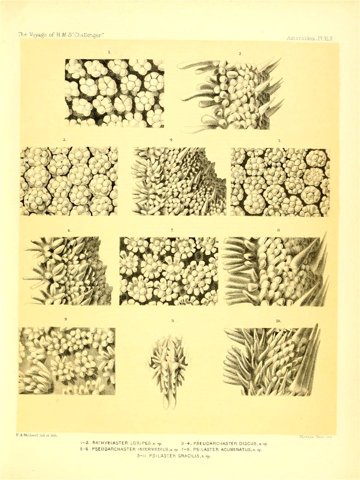 n182_w1150