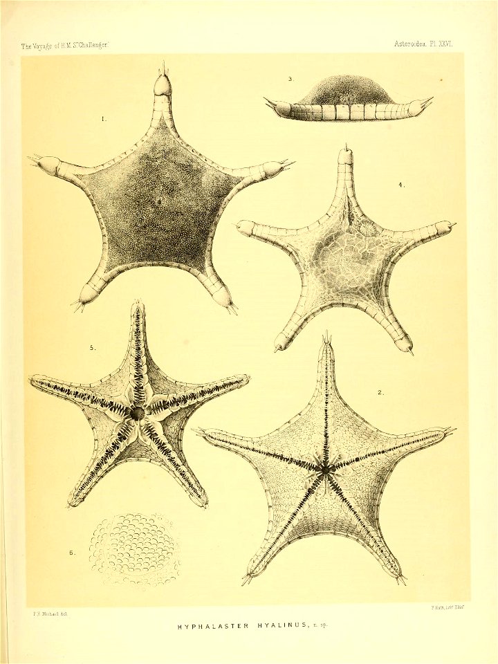 n118_w1150