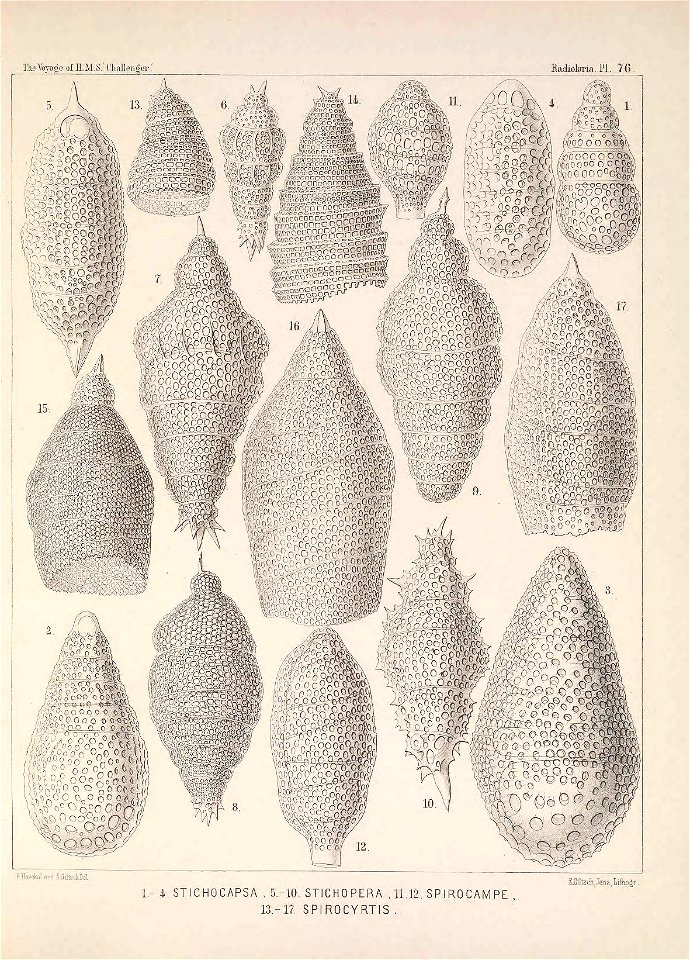 n316_w1150