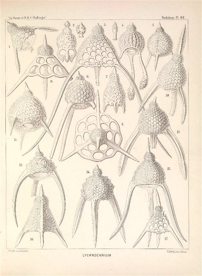 n256_w1150