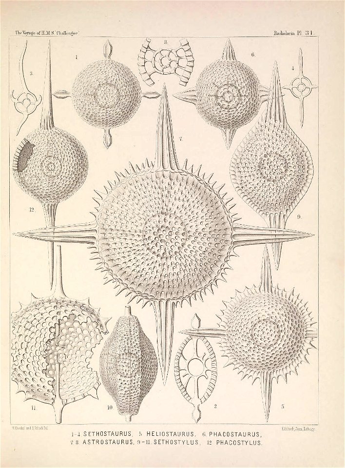 n136_w1150