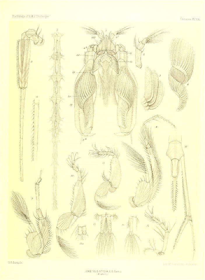 n338_w1150