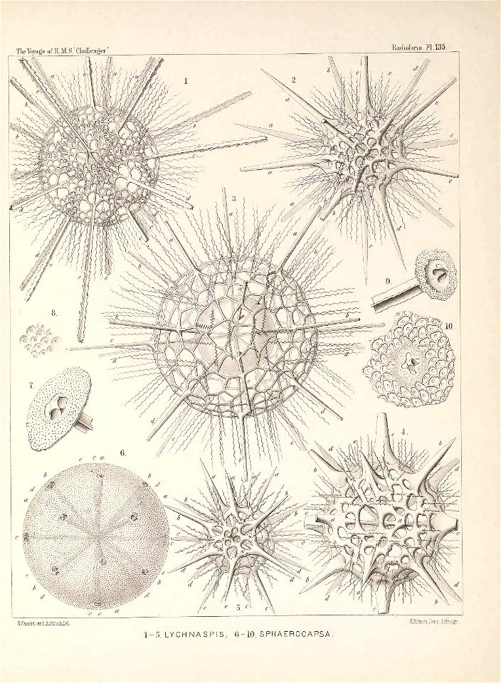 n552_w1150