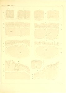 n194_w1150