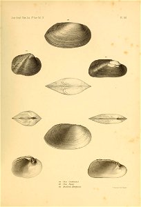n554_w1150
