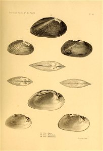 n524_w1150