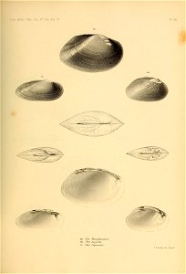 n494_w1150