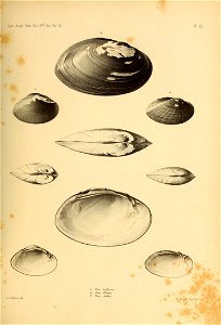 n464_w1150