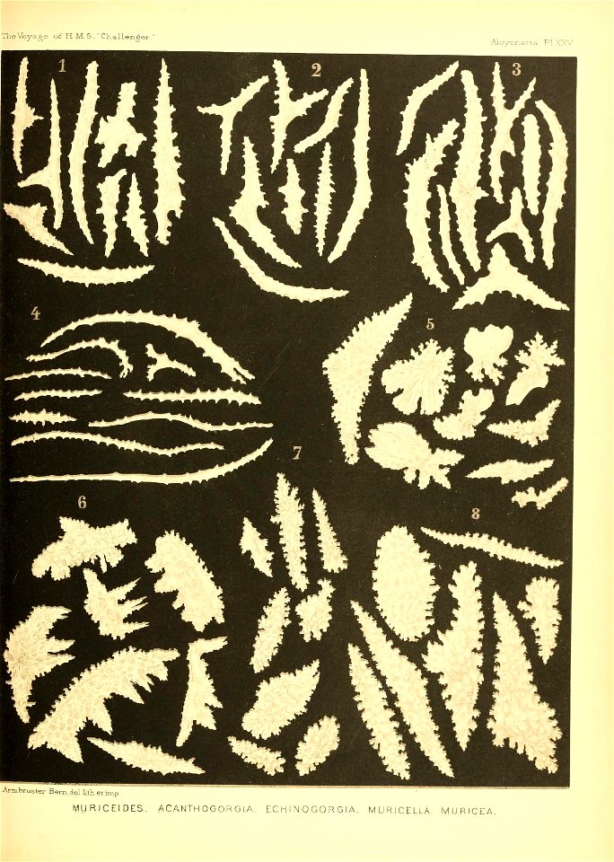 n502_w1150