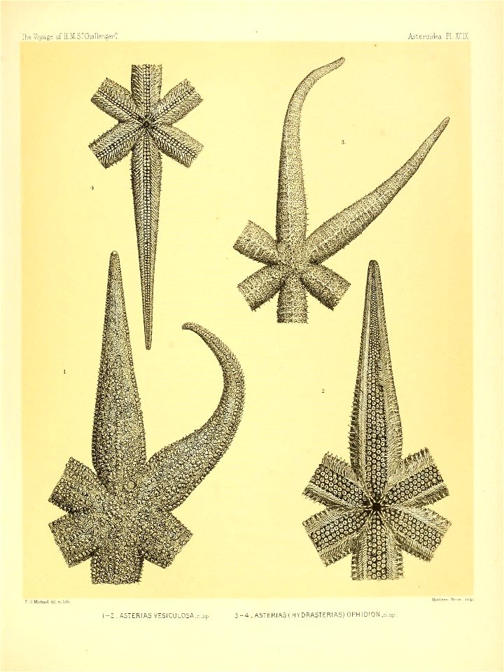 n412_w1150