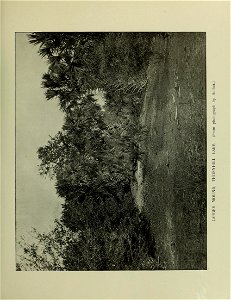 n580_w1150