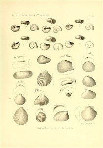n556_w1150