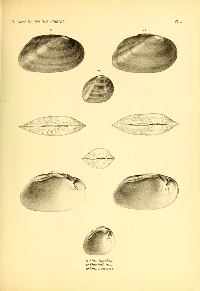 n496_w1150