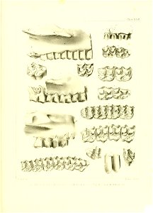 n514_w1150