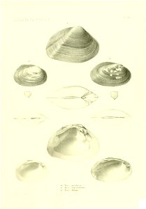 n442_w1150