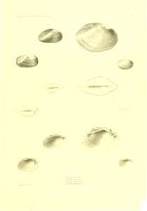 n412_w1150