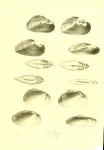 n382_w1150