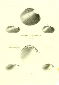 n560_w1150