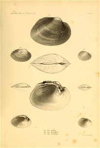 n552_w1150