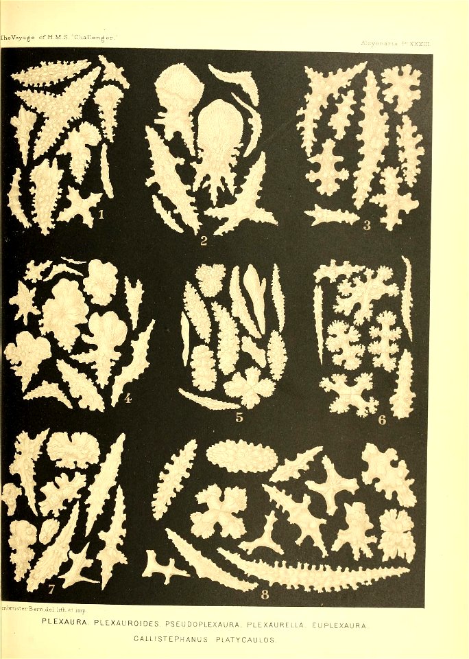 n534_w1150