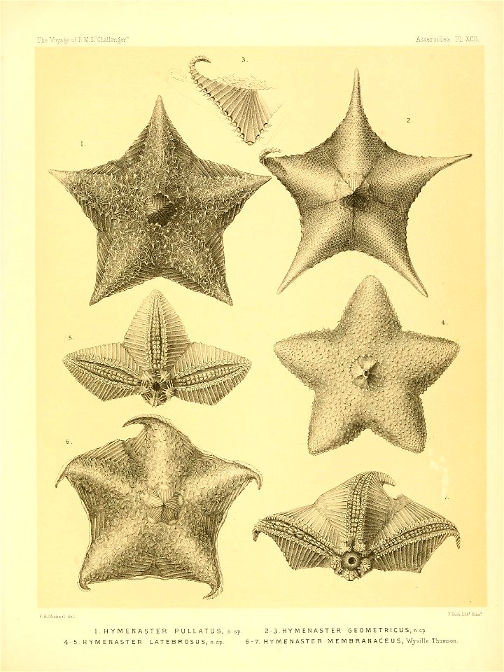 n384_w1150