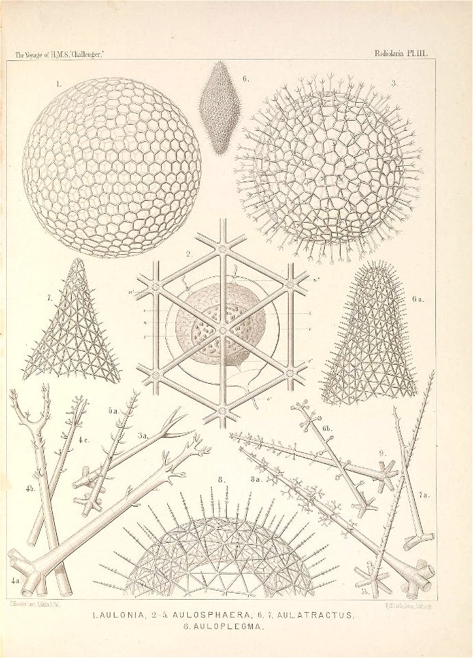 n456_w1150
