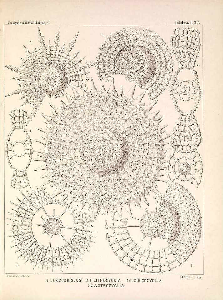 n156_w1150