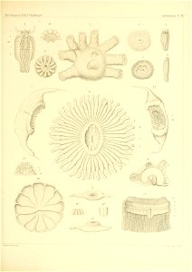 n158_w1150