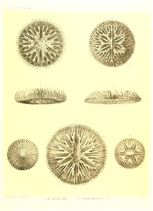 n318_w1150